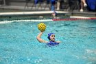 WWPolo vs CC  Wheaton College Women’s Water Polo compete in their sports inaugural match vs Connecticut College. - Photo By: KEITH NORDSTROM : Wheaton, water polo, inaugural